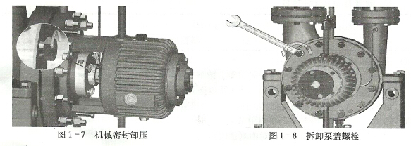氟塑料泵